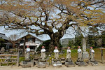 8番西善寺の6地蔵