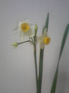 090121_173031.jpg