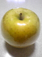090126_083704.jpg