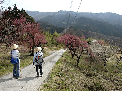 昨年3月23日2番真福寺付近