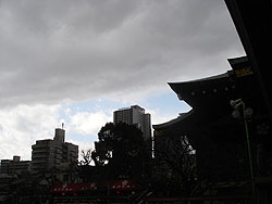 急に空が暗くなり雹が降ってきました!